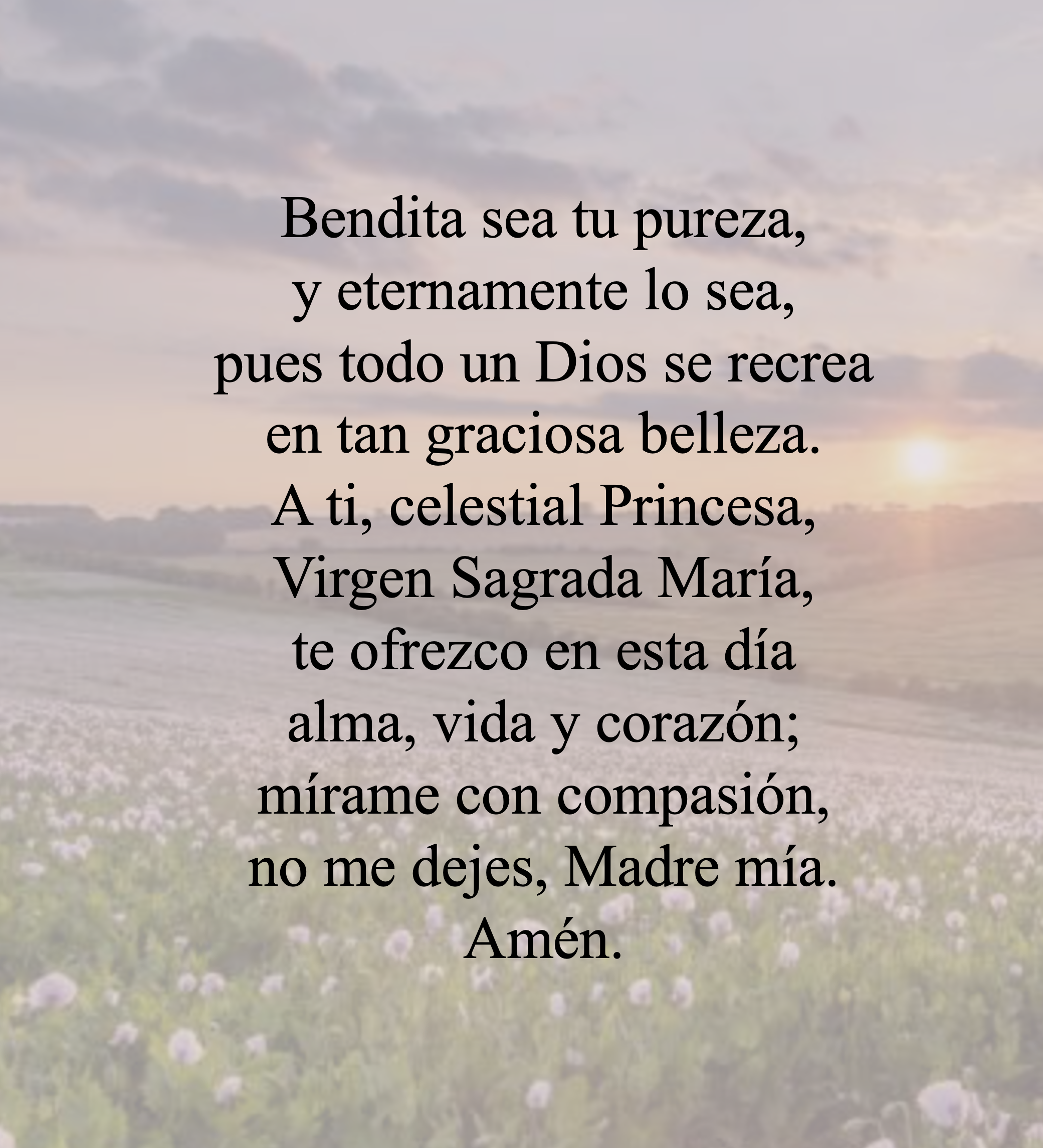 bendita sea tu pureza